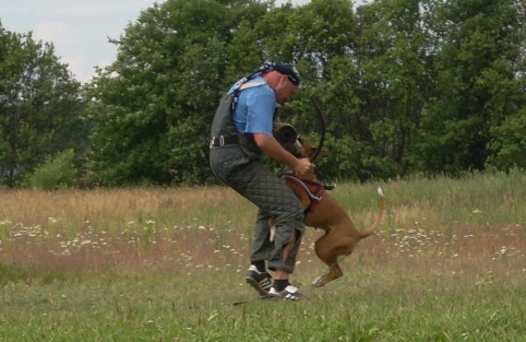 Training in Estonia 6/2007